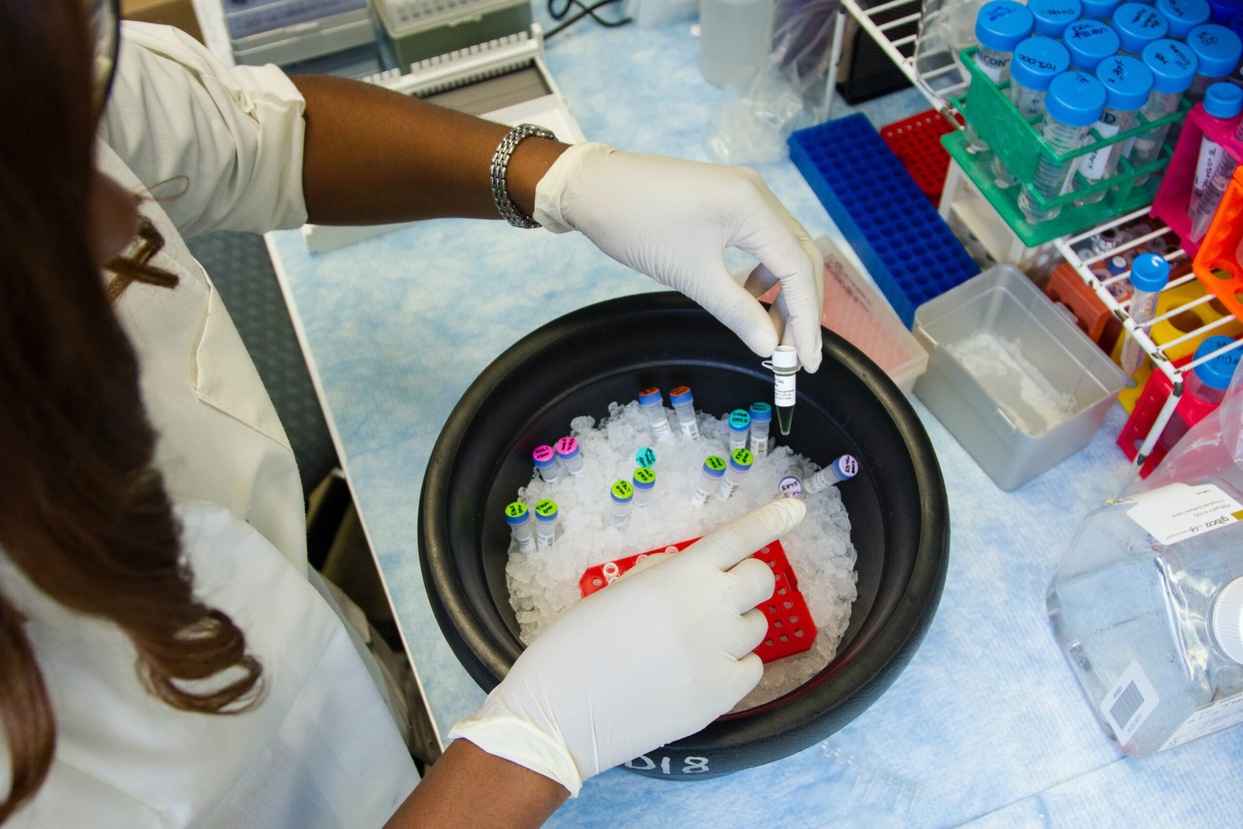 Lab technician handling blood specimen for diagnostic testing.