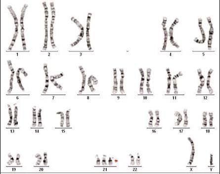 Molecular Oncology