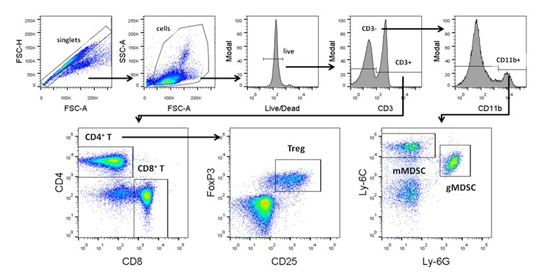 Flow Cytometry